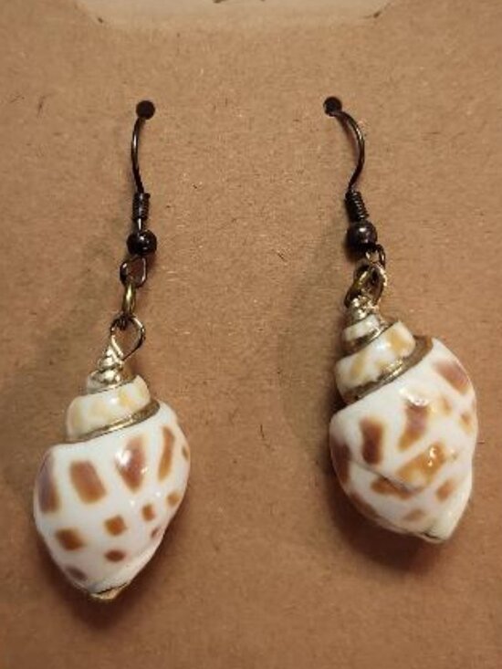 Tiger Conch Shell Dangle Earrings - Picture 2 of 3